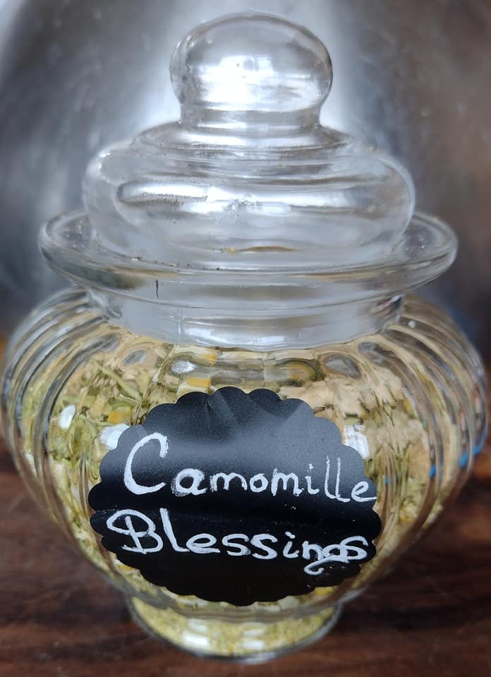 Camomile Blessings