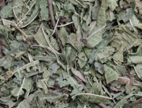 Citroenverbena – Zonnelicht voor je ziel