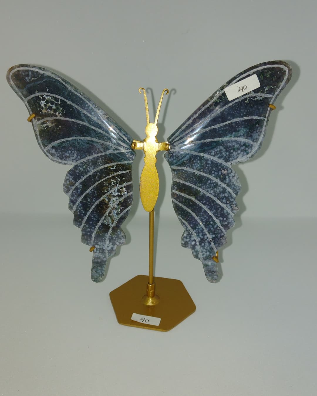 Druifagaat vlinder vleugels op standaard