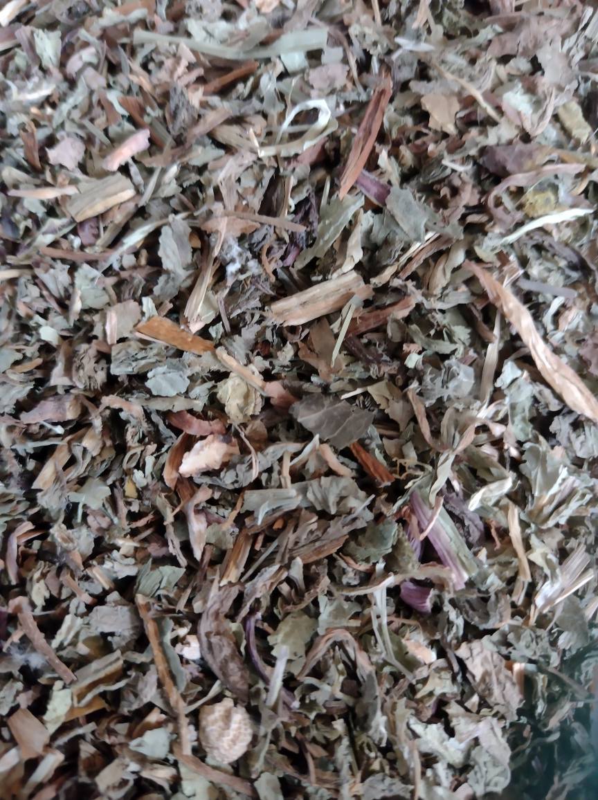 Paardenbloem – Zonnestraal van veerkracht