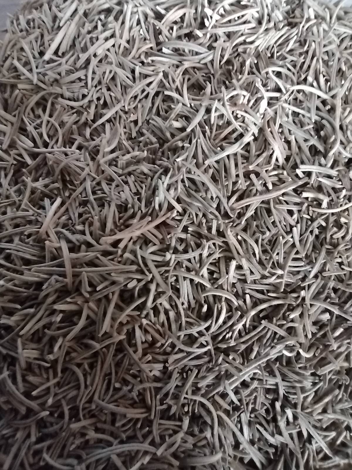 Rozemarijn – De geur van focus en innerlijke kracht