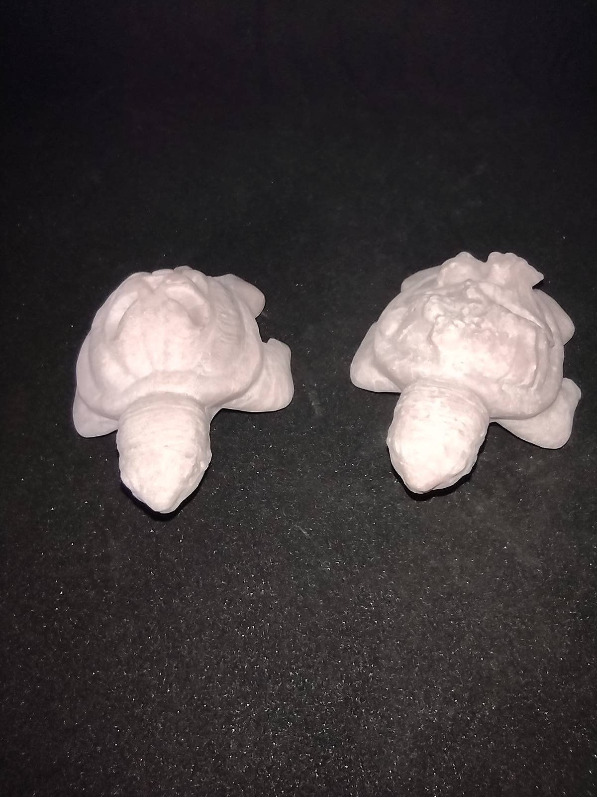 Roze opaalsteen schildpadjes Halloween gravure