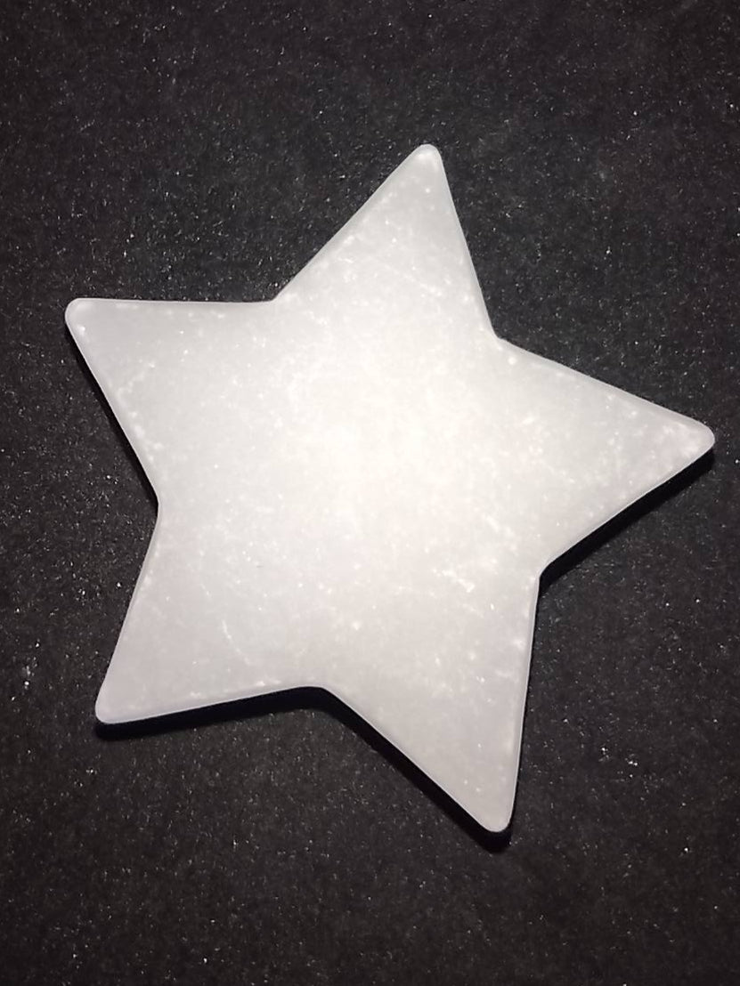 Sneeuwkwarts ster Maat M