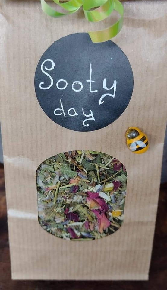 Soothy Day