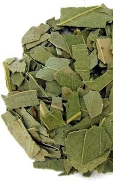 Eucalyptus – Adem van de geest, wachter van je ruimte