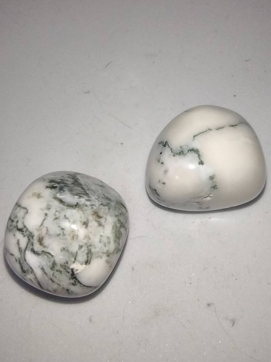 Groene mos agaat Trommelstenen