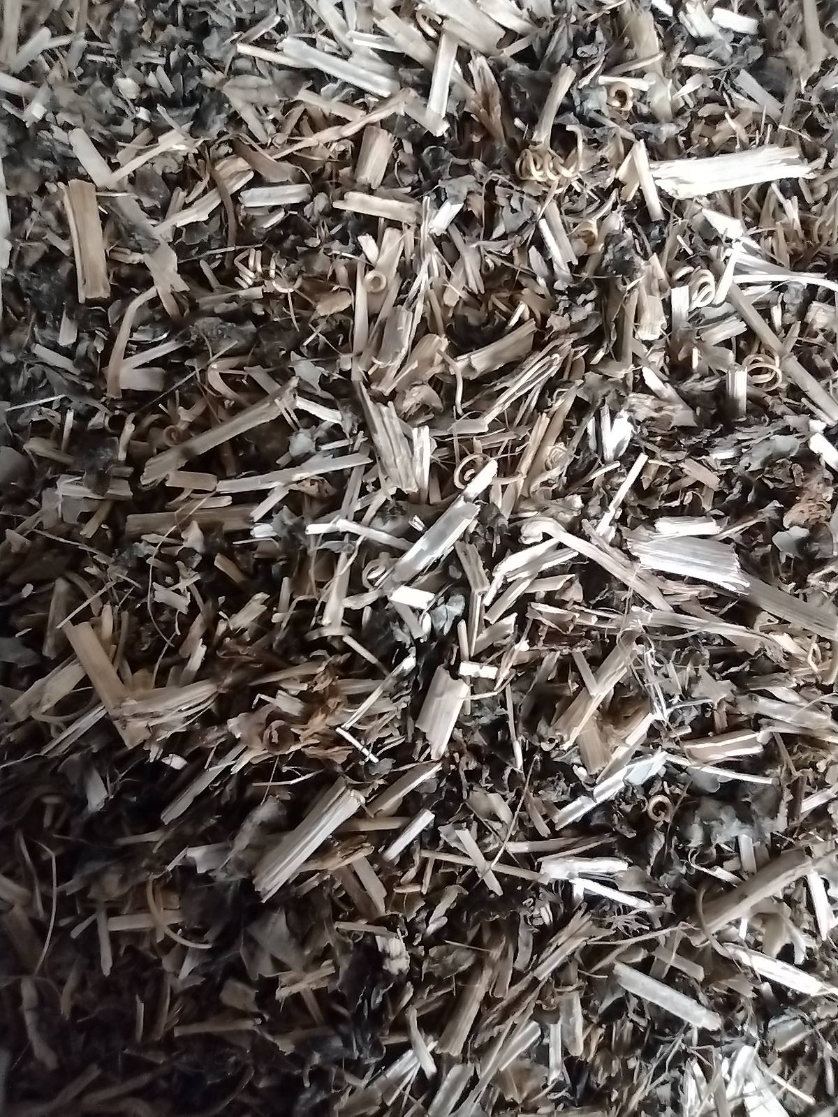 Passiebloem – Rust in het ritme van je hart