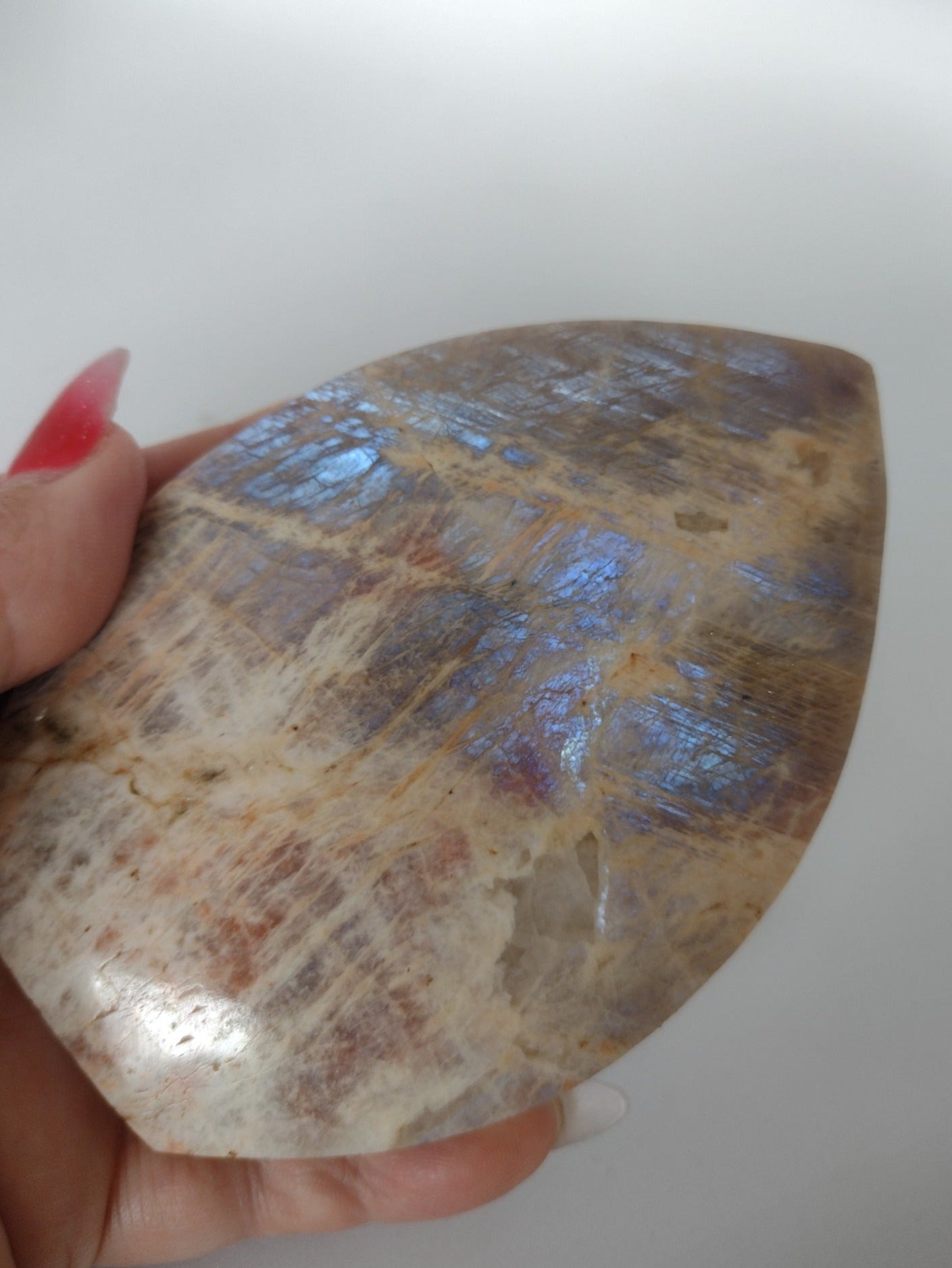 Witte maansteen met blauwe flashes tafelstuk